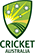Cricket Australia – client of Swivel Creative for graphic recording