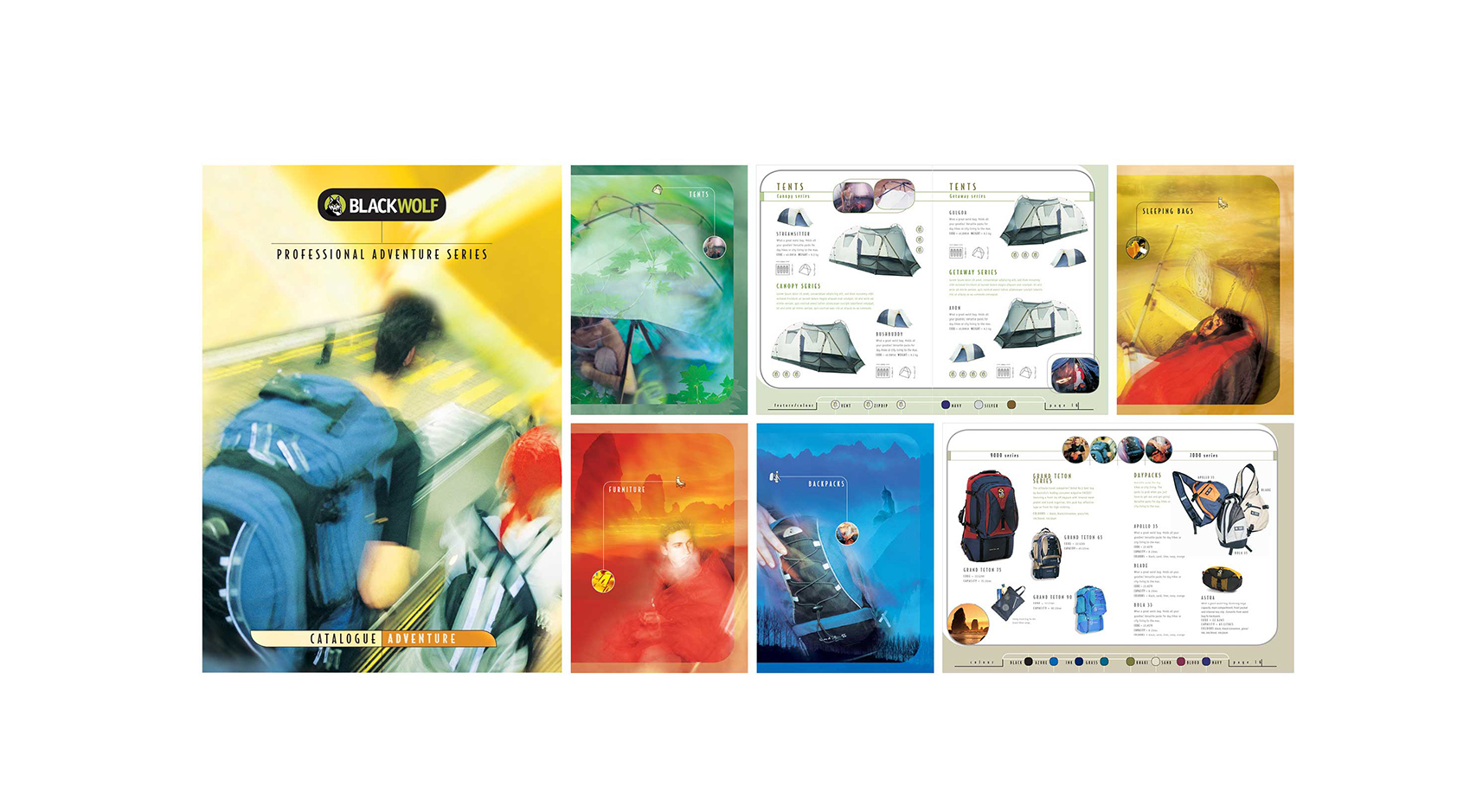 Swivel Creative_Visual Communications_Blackwolf_Branding & Marketing Material.jpg